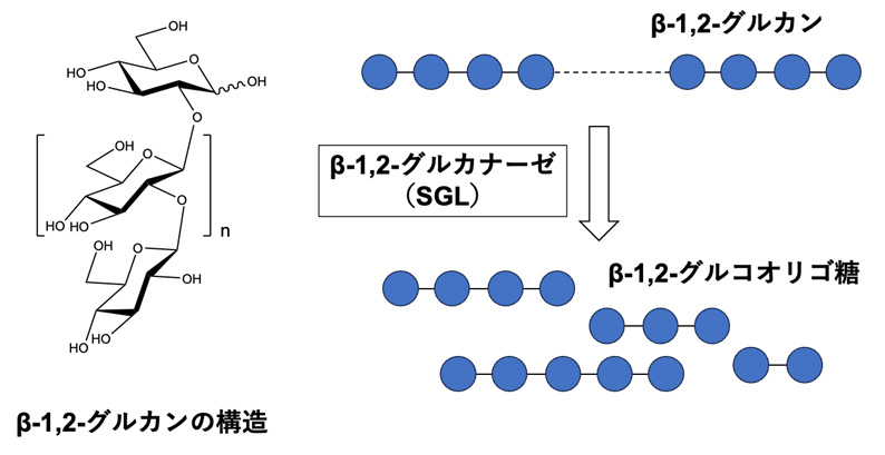 図1