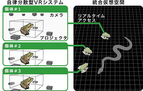 VR技術を用いた動物実験コンセプト