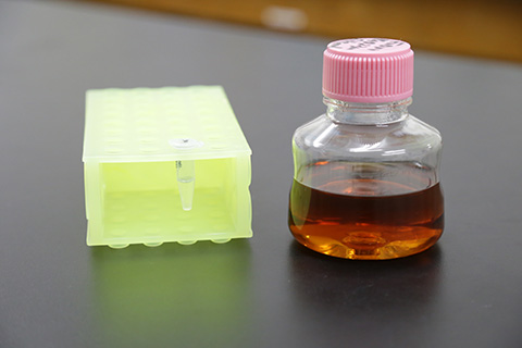 培地、溶液の写真