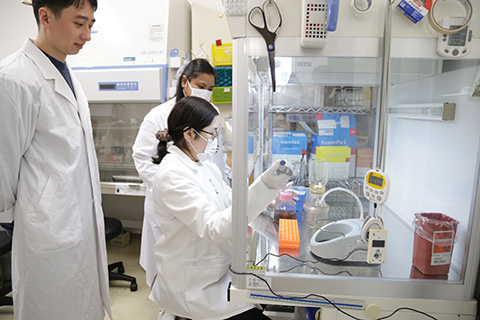 Pg-OMVの抽出風景写真