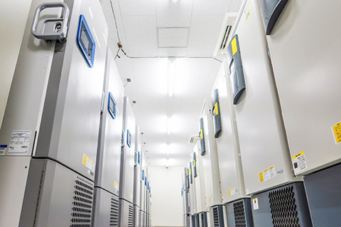 ブレインバンク