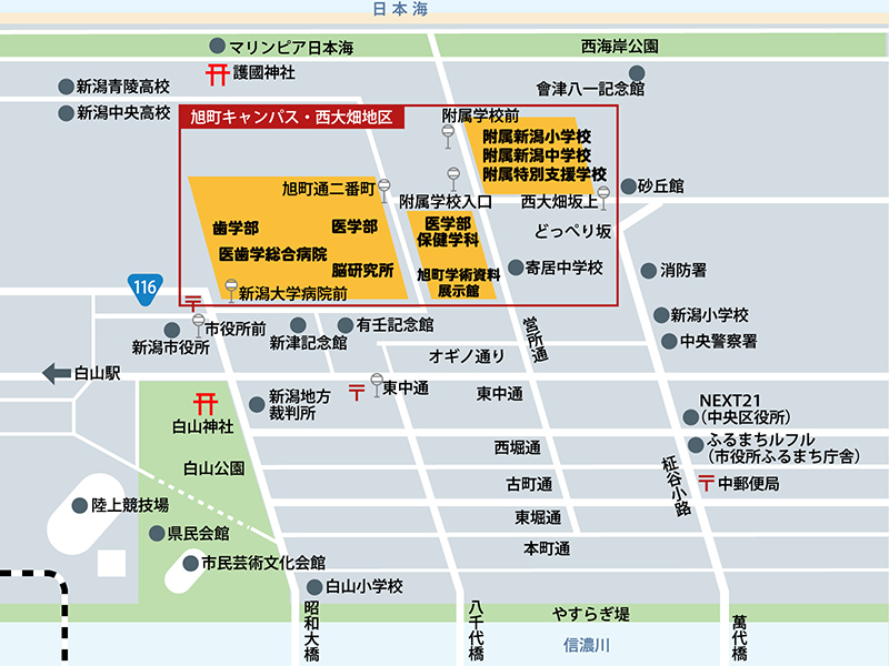 旭町キャンパス・西大畑地区