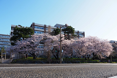 お口から始まる学び