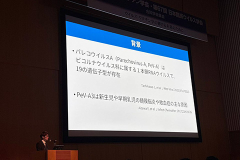 発表の様子